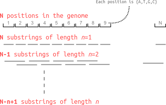 The contiguous sequence of bases can be treated as being independent of each other for any substring size n.